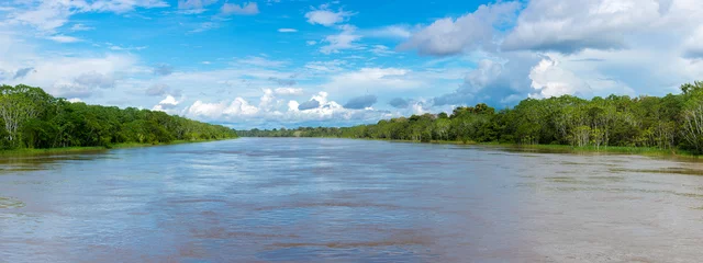 Cruising on the river the Amazon, in the rain forest, Brazil © piccaya