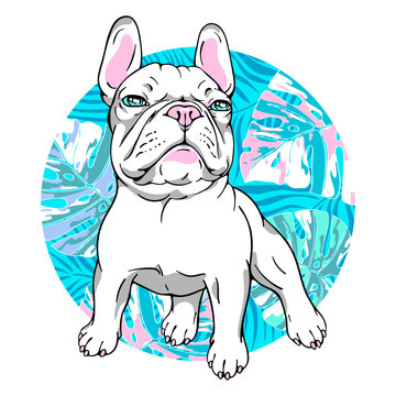 White french bulldog on a bright tropical background. Stylish image for printing on any surface