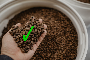 mano de hombre haciendo control de calidad al grano de café con una check en verde
