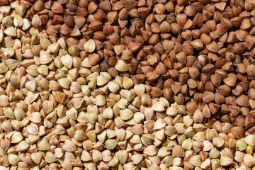 Solid background of raw and fried buckwheat