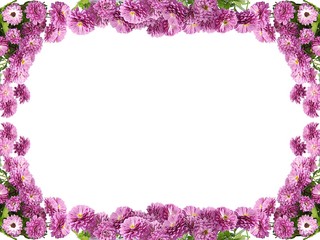 Frame of purple flowers