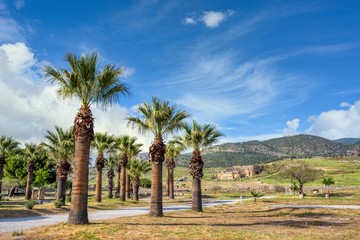 Palm trees and the ruins of the ancient city of Hierapolis at pamukkale in the daytime during the summer. This is an important and popular tourist destination in Turkey.