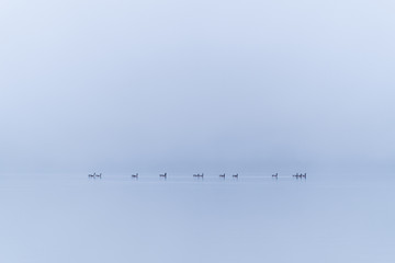 practicing social distancing.