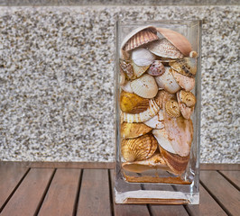 glass vase with shells on wooden table