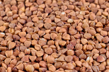 Macro photo of food buckwheat groats. Buckwheat grain background texture