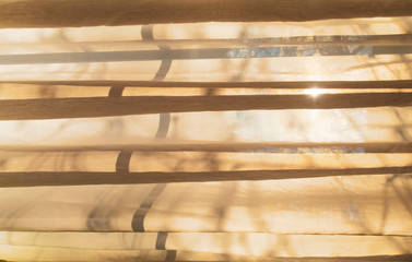 Background, texture colored curtains and shadows
