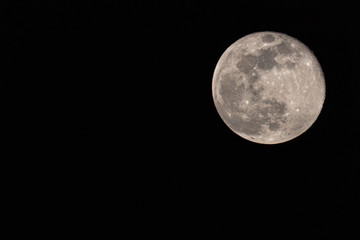 amazing full moon day April / 08 / 2020