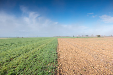 Planicie de los campos de cultivo de lleida y el horizonte al fondo.