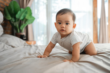 asian baby learn to crawl on the bed. crawling development milestone