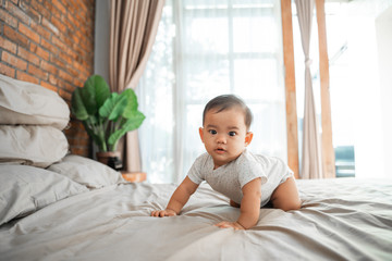 asian baby learn to crawl on the bed. crawling development milestone