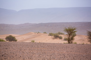 Arid and hot day in the desert of Sahara, Tata