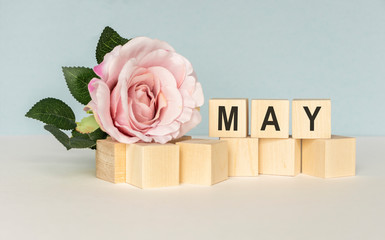 May. Image of may 1 white block calendar on white background with flowers. Spring day, empty space for text. International Workers' Day