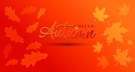 autumn background with leaves