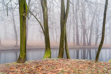 Park Lubomirskich w Dojlidach, Białystok, Podlasie
 Polska. Mgła, szron i przymrozek w Parku
Lubomirskich