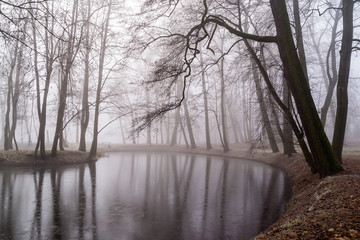 Park Lubomirskich w Dojlidach, Białystok, Podlasie
 Polska. Mgła, szron i przymrozek w Parku
Lubomirskich