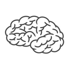 human brain icon isolated on white