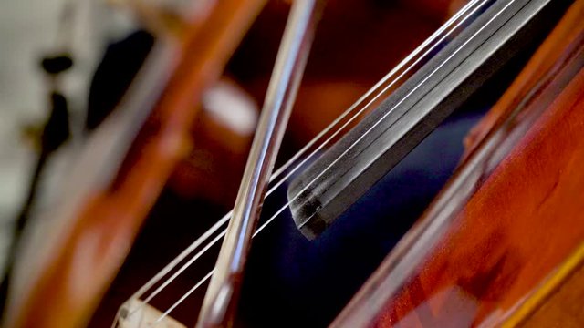 dramatic bowing of cello strings at symphony close up