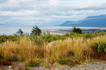 Punta Arenas, Chile. Nature of the Strait of Magellan national Park.
 The national Park preserves...