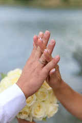 husband and wife hands with a bouquet of rose in the background