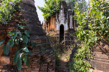 Naklejka premium Natural vegetation growing into pagodas and temples