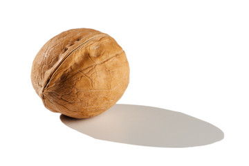 Walnut with a hard shadow on a bleached background side view.