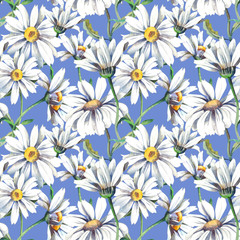 Daisies Seamless Pattern. Watercolor Background.