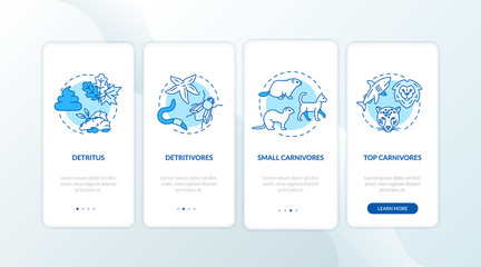 Detritus food chain onboarding mobile app page screen with concepts. Detritivores and carnivores ecosystems walkthrough 4 steps graphic instructions. UI vector template with RGB color illustrations