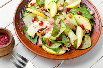 Green salad with meat