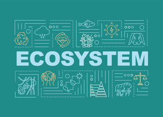 Fototapeta premium Ecosystem, biodiversity word concepts banner. Nature, living organisms community. Infographics with linear icons on green background. Isolated typography. Vector outline RGB color illustration