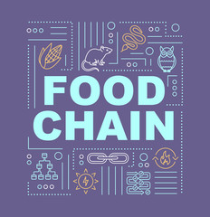 Fototapeta premium Food web word concepts banner. Metabolic process, producers and consumers. Infographics with linear icons on purple background. Isolated typography. Vector outline RGB color illustration