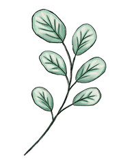 branch with green leaves digital drawing