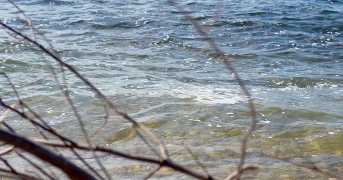 Clear Lake Michigan waves through a tree branches.