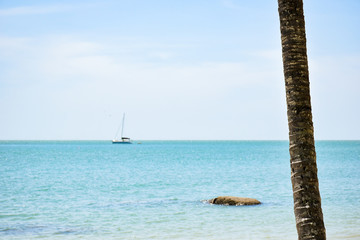 Obraz premium tropical beach with coconut palm trees and sailboat