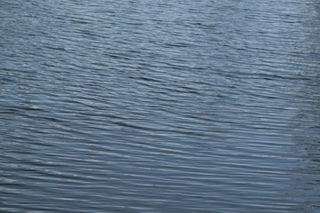Wasser