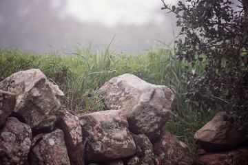 Some rocks next to a green grass field in a foggy mountain