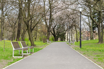 CITY PARK - Benches at the alley surrounded by spring