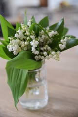 Muguet 