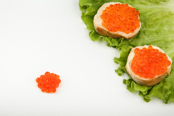 sandwiches with red caviar and lettuce on white background with copy space