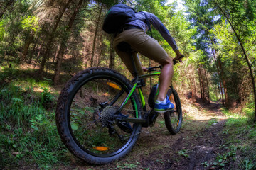 Naklejka premium Man on electro mountain bike at trail in forest