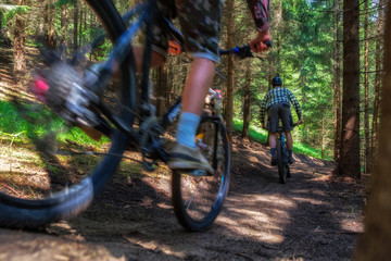 Naklejka na ściany i meble Bikers on mountain bikes rides on trail in forest