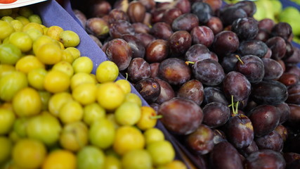 plums and mirabelles in yellow and purple