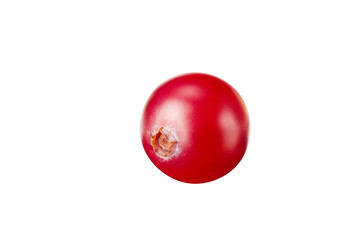 One cranberry isolated on white background. macro