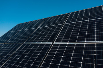 Background of photovoltaic modules for renewable energy. Huge solar panels with clear blue sky.