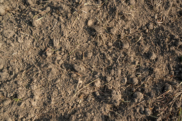 Texture of dry soil with dried grass and weed pieces