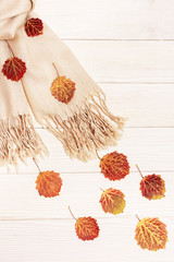 Autumn concept, red aspen leaves fly after beige scarf on light wooden background. Autumn, fall composition. Flat lay, top view, copy space.