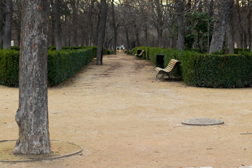 snapshot of park in autumn with wooden bench and trees
