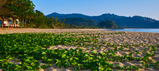 Paradise wild beach landscape, peaceful relaxing view, stunning nature scene. Tioman Island,...