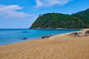 Fototapeta na wymiar Wild gold sand beach and turquoise sea background. Coastline on sunny day background of sea and sky, gold sand, tourism, relax, vacation, summer, ocean. Tioman Island, Malaysia.
