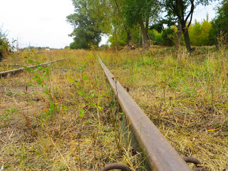 railway and rails on wooden sleepers in grass and between trees