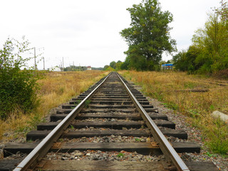 Fototapeta premium railway and rails on wooden sleepers in grass and between trees